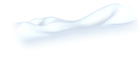 neve decorativa